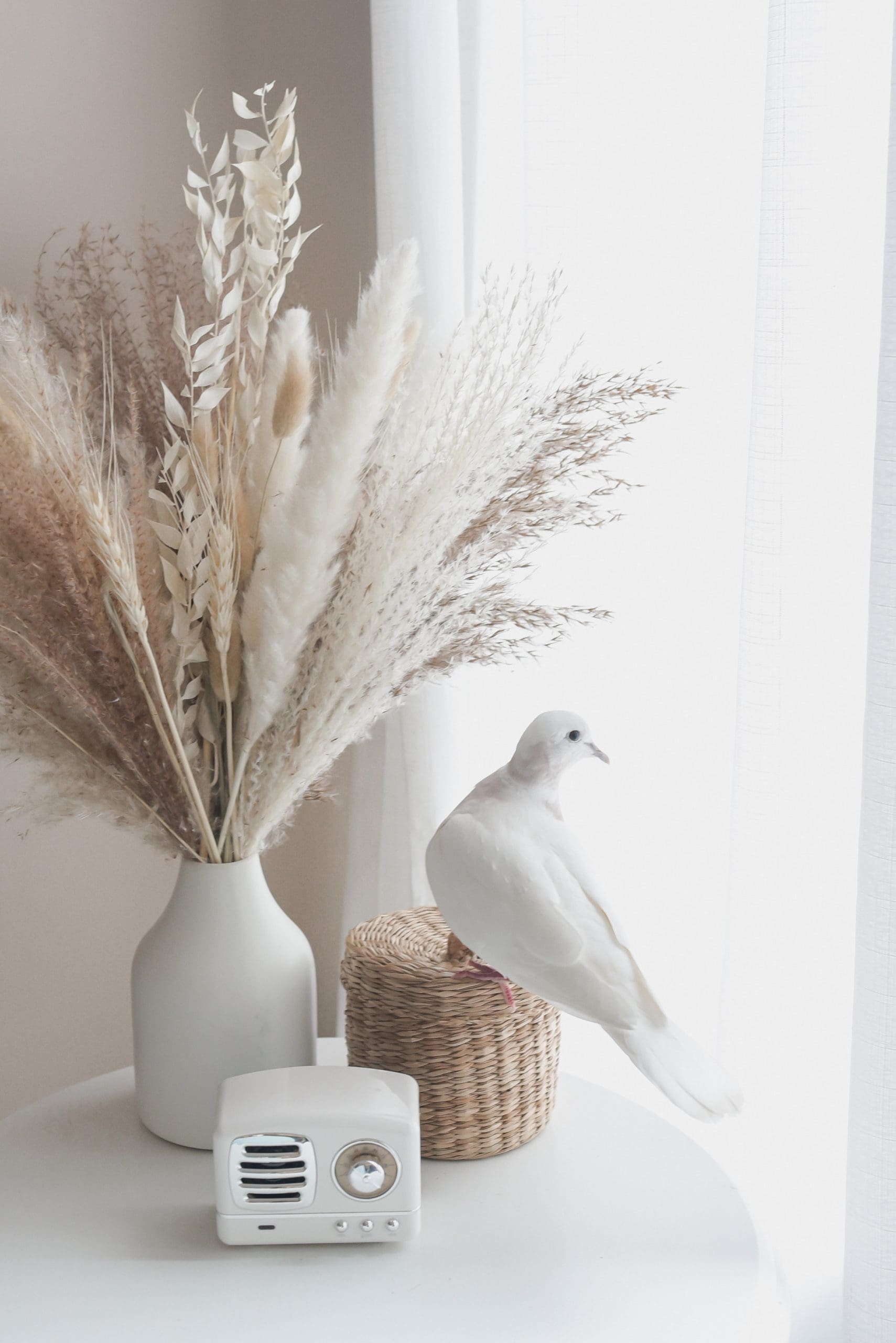 paige-cody-vMzYJBca33Q-unsplash